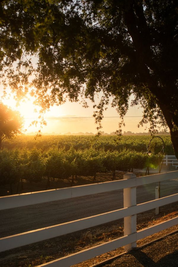 Oak Farm Sunset